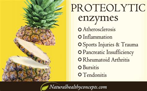 Benefits Of Taking Proteolytic Enzymes Health Benefits