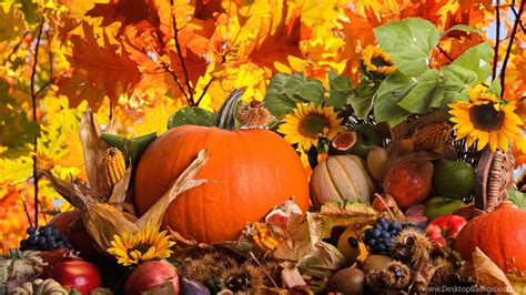4k Thanksgiving Wallpapers Top Free 4k Thanksgiving Backgrounds