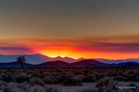 Mojave Desert Sunset By Toby Harriman Redbubble