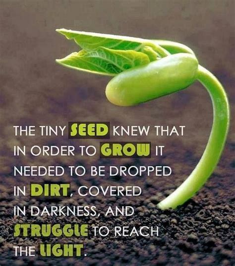 Plant Your Seed Be It An Idea Passion Or Purpose Embrace The
