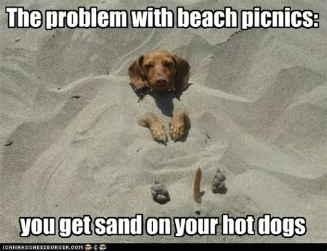 24 Funny Beach Memes Because Its That Time