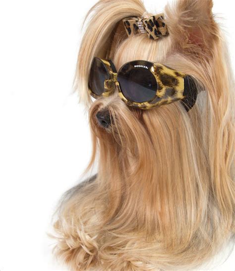 Doggles Ils Dog Sunglasses In Leopard Gw Little
