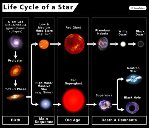 Life Cycle Of A Star Stages Facts And Diagrams
