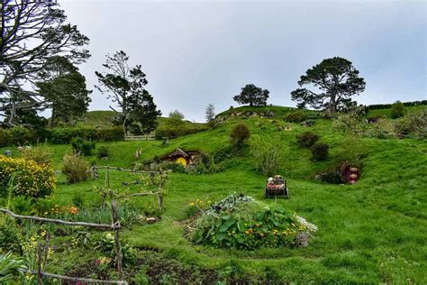 Visiting Hobbiton In New Zealand A Detailed Photo Guide