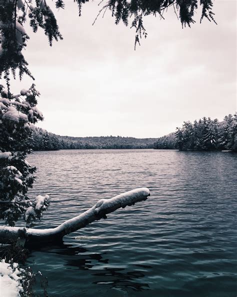 Free Images Sea Tree Nature Winter Boat Morning Lake River