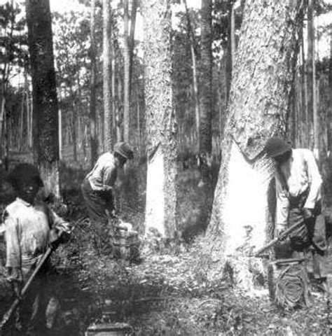 The Rosewood Massacre How One Womans Lie Started A Race War Which