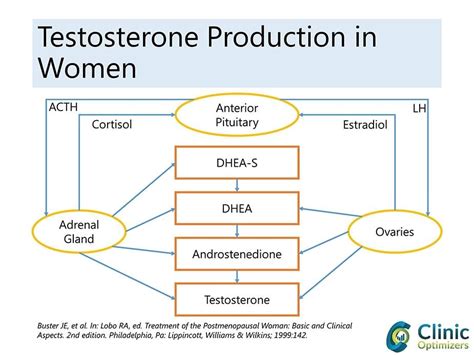 Low Testosterone In Women Treatment Options Benefits And Risks
