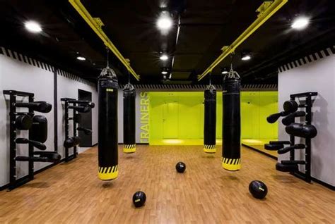 Gym Interior Designing Service At Rs 800square Feet Health Club