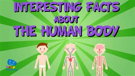 Interesting Facts About The Human Body Educational Video For Kids