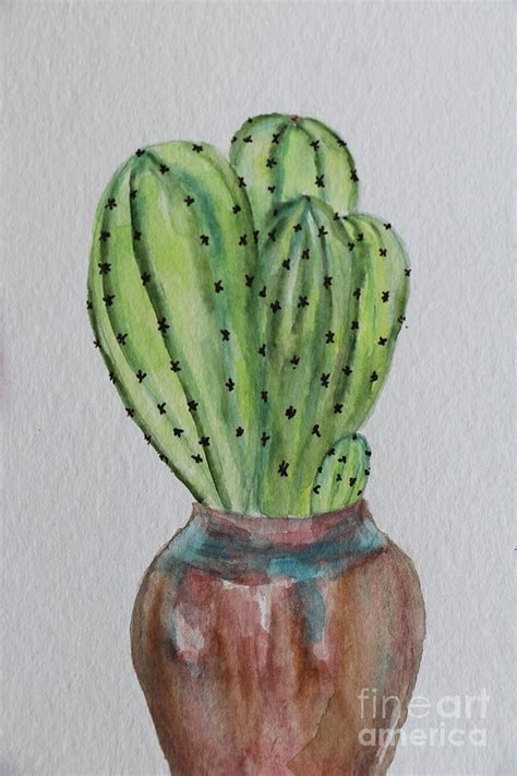 Cacti In A Pot Photograph By Christiane Schulze Art And Photography