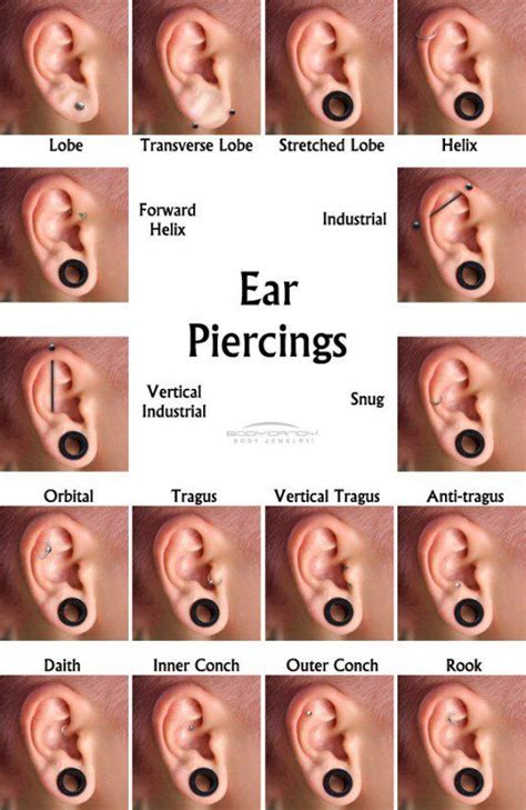 Everything You Need To Know About Piercings Ear Piercing Names
