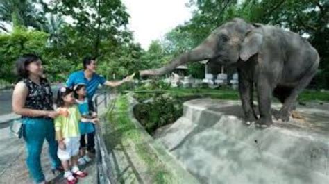 Visit zoo negara 2019 suraya hussin. Kuala Lumpur National Zoo 2020, #20 top things to do in ...