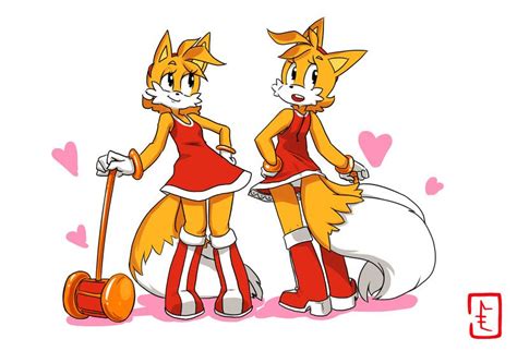 Rule 63 Sonic Tails Furry Art Character Design Character Drawing