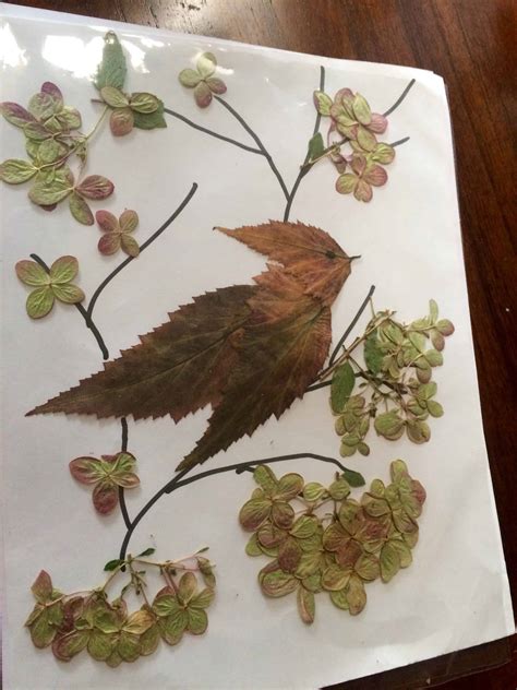 15 Dried Flower Crafts That Make Great Fall Decor Obsigen
