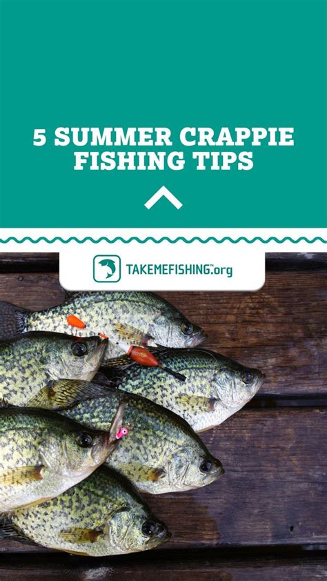 5 Summer Crappie Fishing Tips Artofit