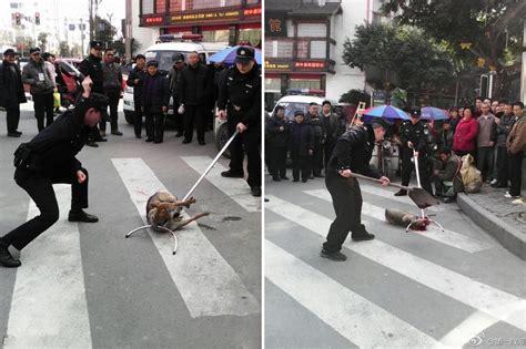 Sickening Photos Show Chinese Cops Beating A Beggars Dog To Death