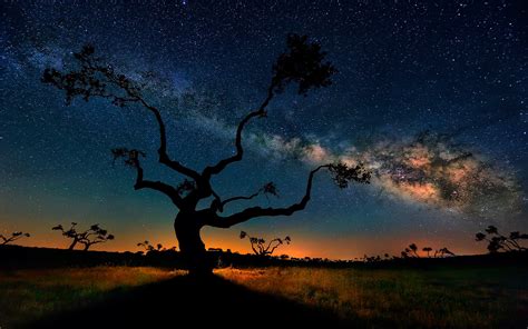 10 Mesmerizing Hd Images Of The Milky Way Hd Wallpapers