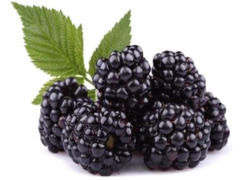 Blackberry Fruit Png Images Transparent Free Download