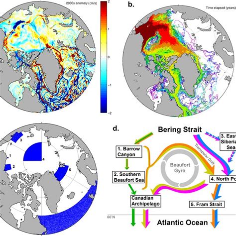 Schematic Of Large Scale Arctic Ocean Circulation Pathways In Dark