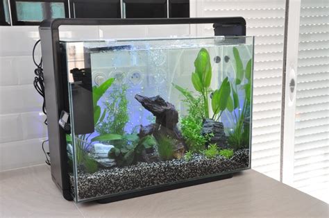 Avis Sur Aquarium Superfish Home 80 Blanc Ou Noir