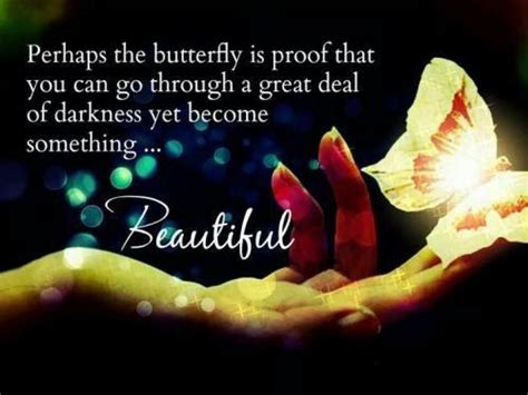 Perhaps The Butterfly Is Proof That You Can Go Through A Great