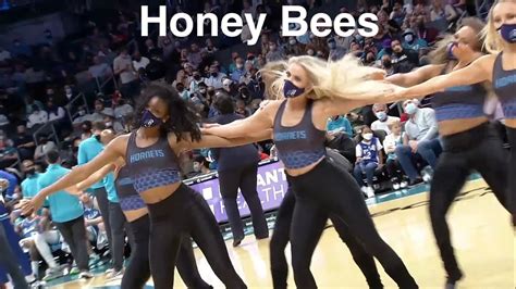 honey bees charlotte hornets dancers nba dancers 12 27 2021 dance