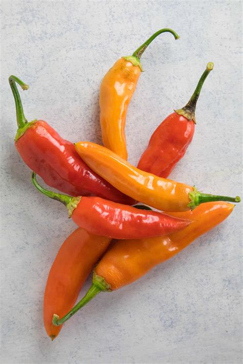 Chili Pepper Types A List Of Chili Peppers And Their Heat Levels