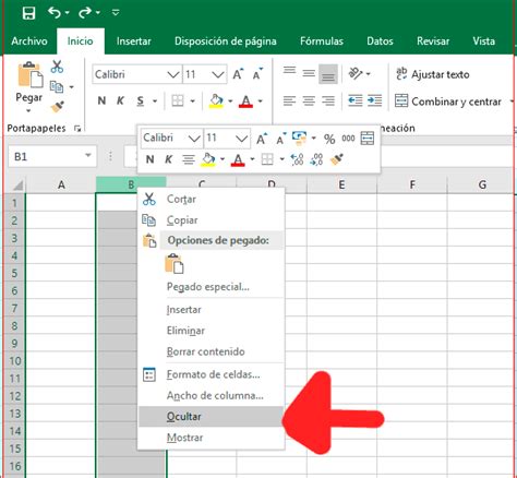 Excel Ocultar Y Mostrar Columnas En Excel Ocultar Y Mostrar Filas Images