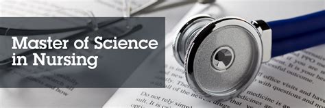 This type of program is typically only. MSN Programs : College of Nursing and Health Sciences ...