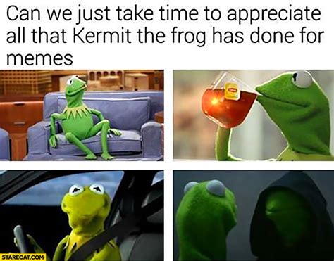Can We Just Take Time To Appreciate All That Kermit The Frog Has Done