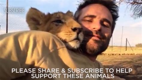 The Lion Whisperer Bonds In South Africa With Rescued Cubs From Spain