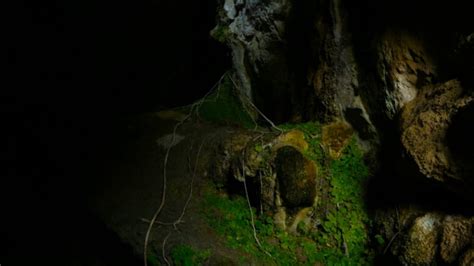 View Of The Luscious Greens Inside The Dark Cave Stock Footage Videohive