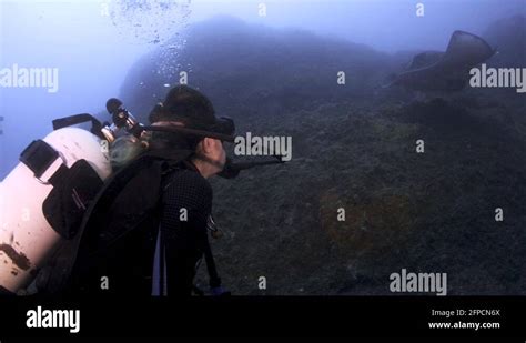 Breathtaking Underwater Deep Sea Scene Of Underside Of Stingray Mouth