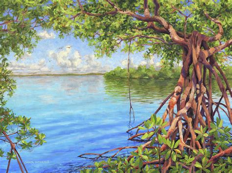 Mangrove Vew Ii Painting By Carol Mcardle Fine Art America