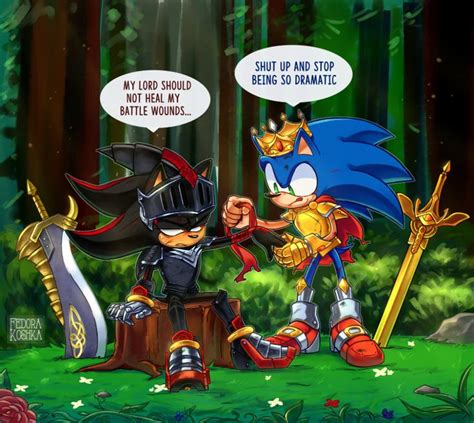 Pin On Sonic And Shadow Together Forever
