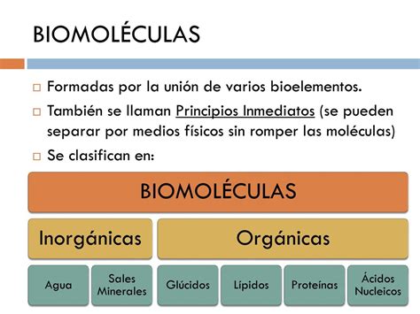 Tema 1 Bioelementos Biomoléculas Inorgánicas Ppt Descargar