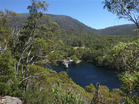 Island Bend Pondage Nsw Bog Places