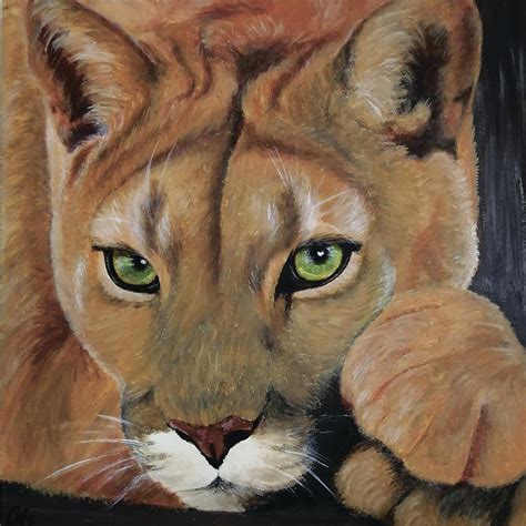 Cougar Painting By Svetlana Misyura Fine Art America