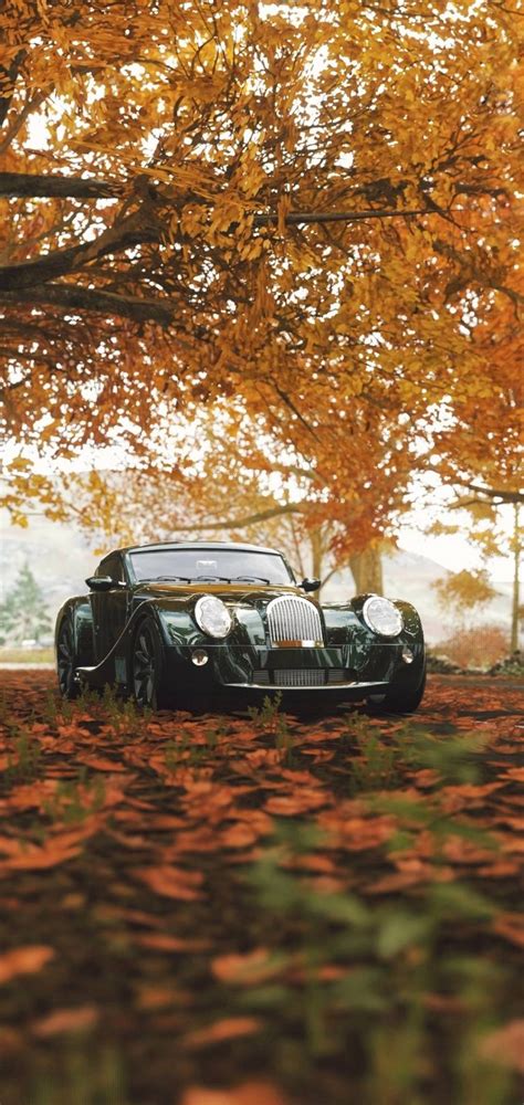 Autumn Season Leaves Car Wallpaper - 1080x2280 