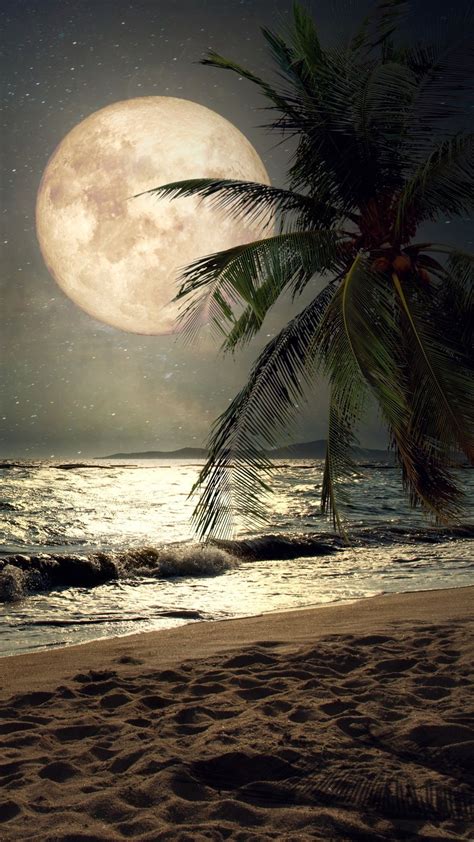 Moonlight Beach Iphone Wallpapers