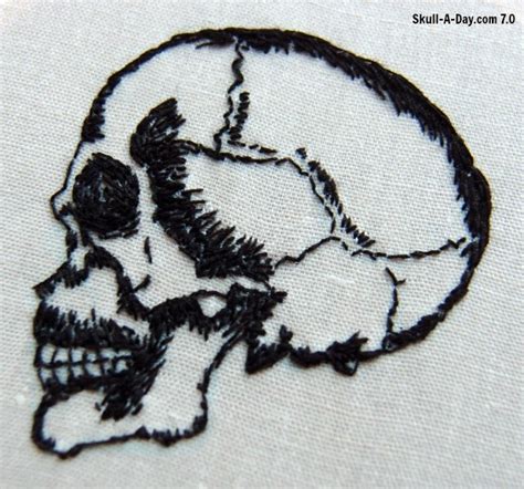 Anatomical Skull Embroidery