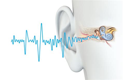 How Your Ears Can Cause Brain Shrinkage Dementia Cedar City News