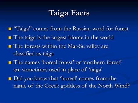 Ppt Taiga The Boreal Forest Powerpoint Presentation
