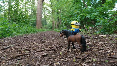 Minion Daves Adventures 48 Learn To Ride A Horse Flickr