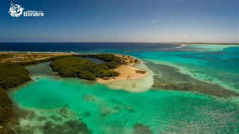 The Best Caribbean Island 10 Reasons To Visit Bonaire
