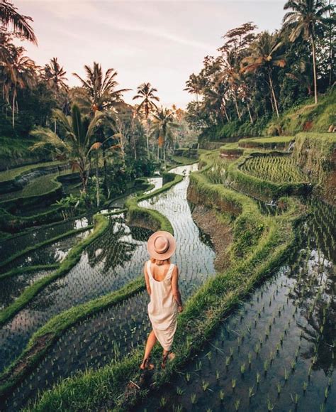 Rice Field Terraces Of Bali Unique Honeymoon Destinations Bali Travel Places To Travel