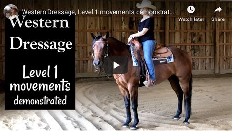 Western Dressage Level 1 Movements Demonstrated Official Site Of