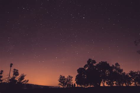 Free Images Tree Silhouette Sky Night Star Dawn Atmosphere