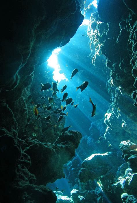 Cave Ocean Life Underwater World Ocean