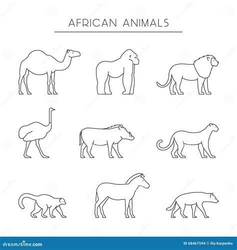 Vector Line Set Of African Animals Stock Illustration Illustration
